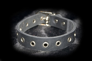 eyelets leather choker